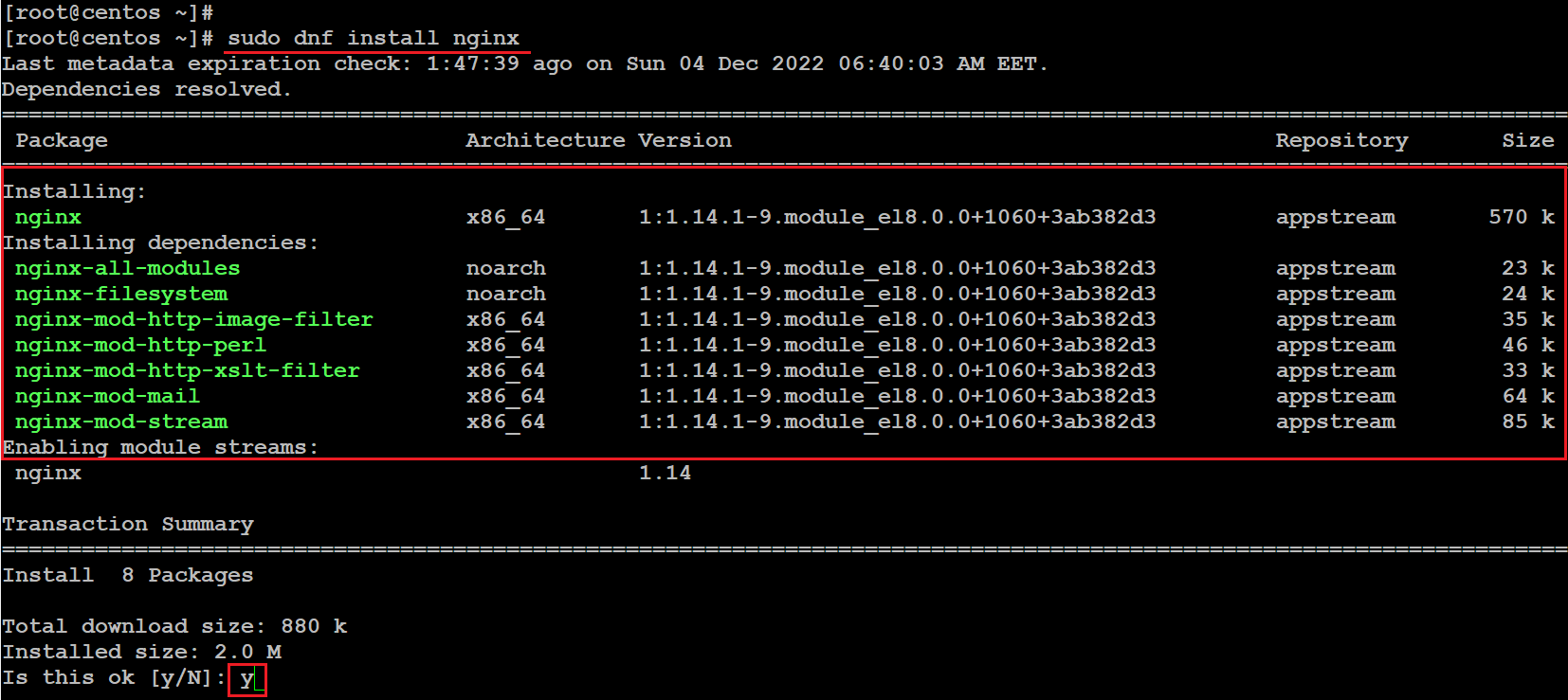 centos install nginx