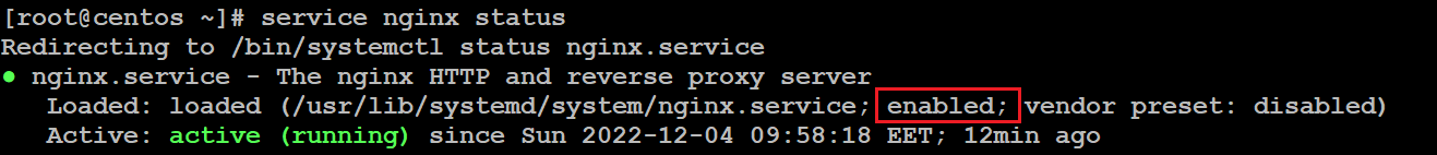 centos install nginx