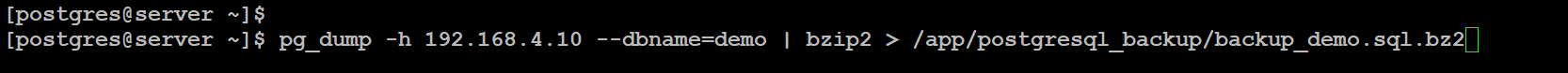 postgresql_create_backup_pg_dump_bzip2