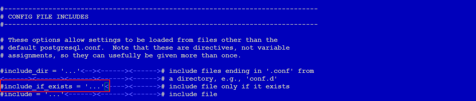 postgresql_config_file